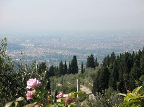 View from the property