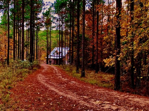 Romantic and secluded Nestled on 35 private acres on the river.