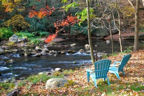 Back yard of Brownie in the fall on Savage River