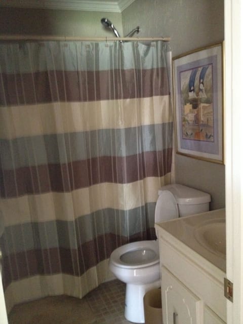 Guest bathroom with bath tub and shower