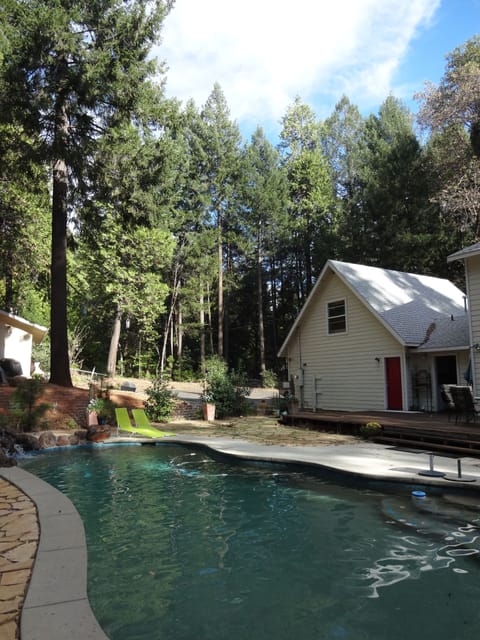 Refreshing afternoon dip among the trees.
