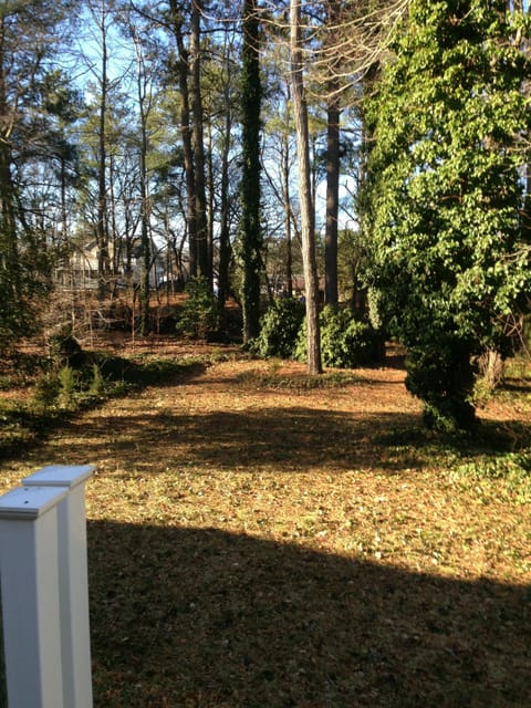 back yard leading to canal