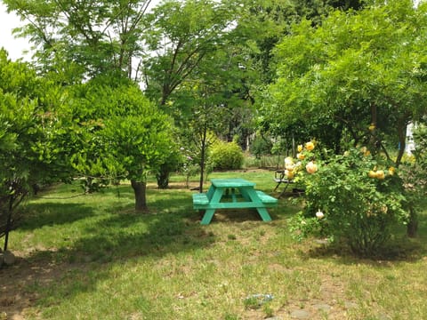 The backyard is perfect for picnics or BBQ after a day of hiking or on the river
