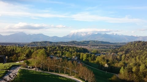 House view