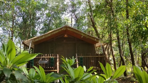 A Glamping Getaway In Nature For You & Your Pet.