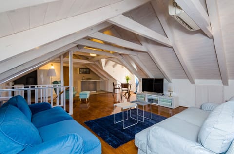 Living  TV room  roof space