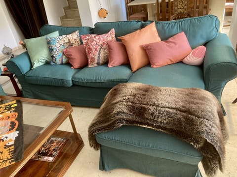 Living room sofa
