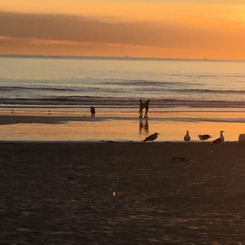 One block to this Beach