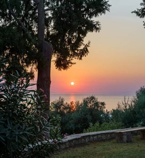 grECOrama sunset