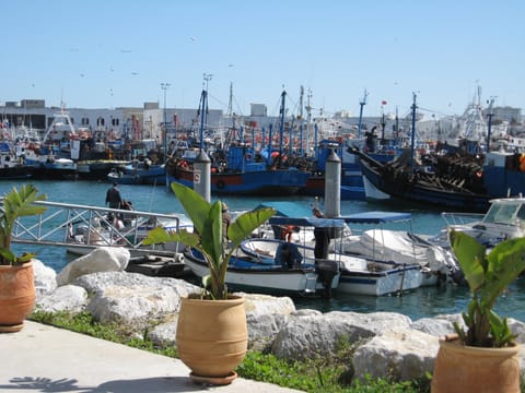 Marina