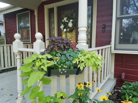 Annual and perennial beds in spring and summer
