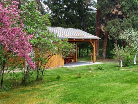 New pavilion in backyard.