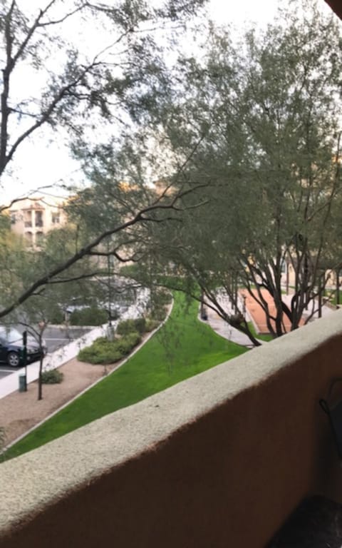 Lovely view from balcony