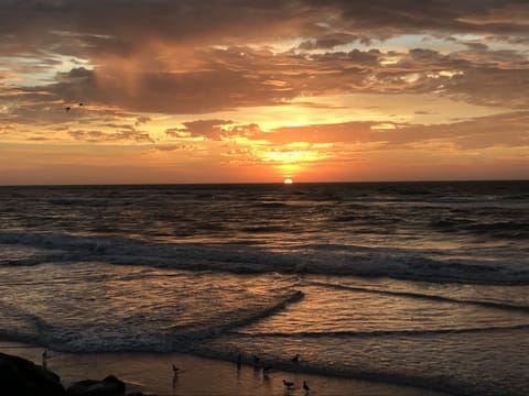 Directly across the street - amazing sunrise. 