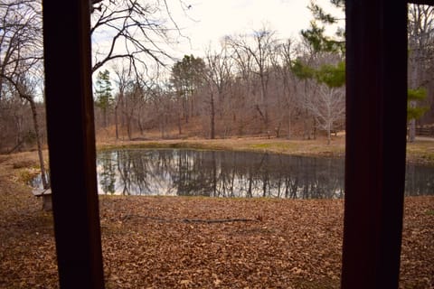 A view of the pond from the screened in porch