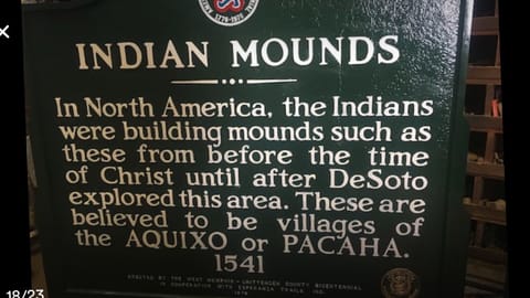 Historic farmhouse D’Mem 7 Min, ❤️1 Pet free 2nd pet considered for fee  House in Marion