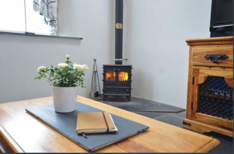 Woodburner in living room