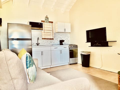 Comfy, cozy living space.  Full size sleeper sofa for extra guest.