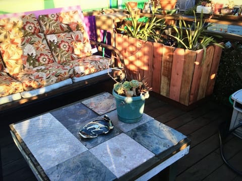 Roof Deck detail in the Mission--Sunniest area and Best Food in San Francisco