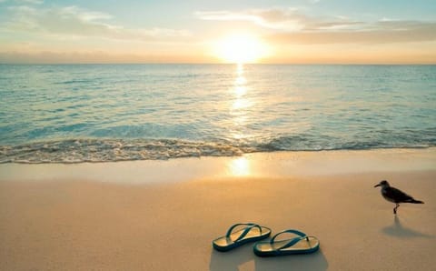 Beautiful Longboat Key Beach at Sunset. x street