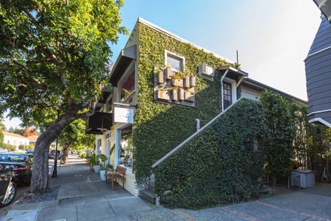Our downtown building featuring the town's favorite "living-wall".