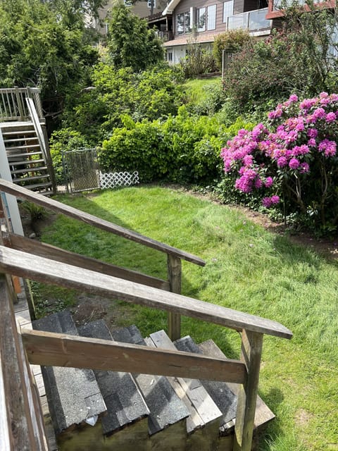 fenced-in back yard for fur babies