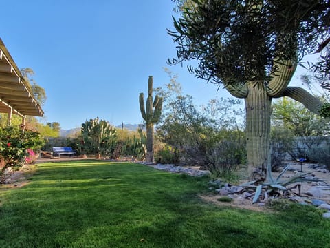 We've kept this lawn, for now. We love it, as do kids! 