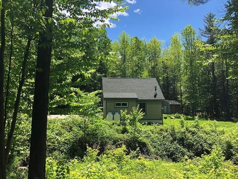 Summer time at the Cabin