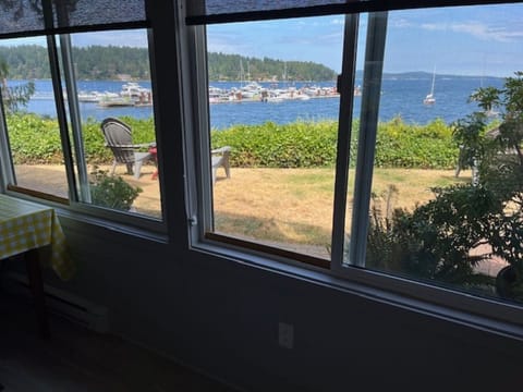 View from patio window.