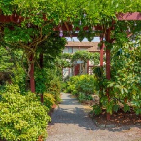 Mill Bay Moments welcomes you