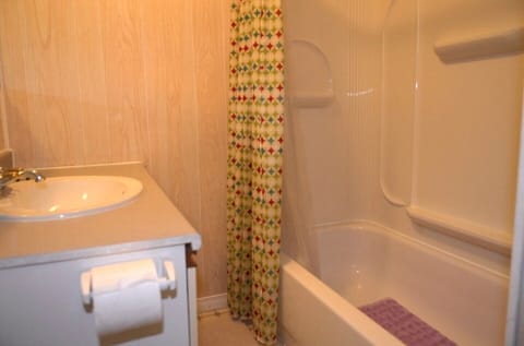 Full size tub and hand held shower