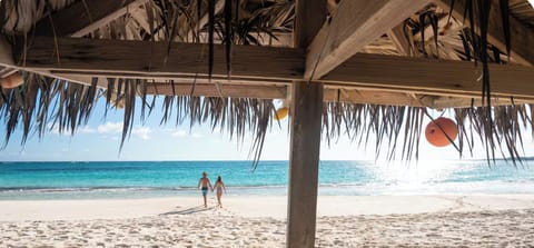 Welcome to Cayo Loco!