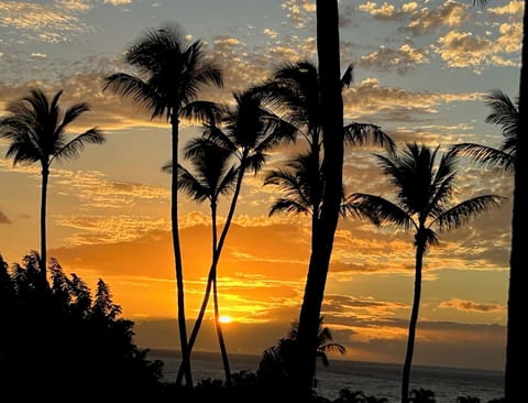 From your Lanai
