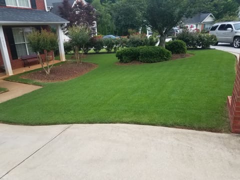 Front lawn