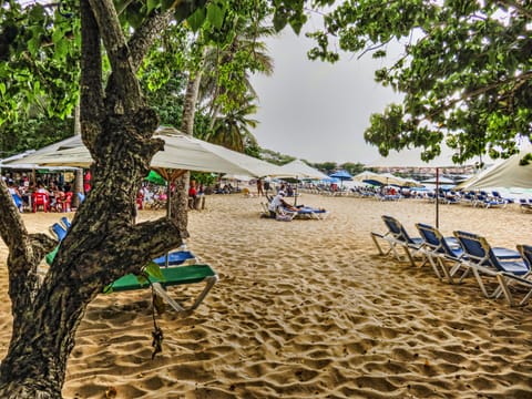 The Combination Of Sun, Sand And Shade Is Unique Among Beaches
