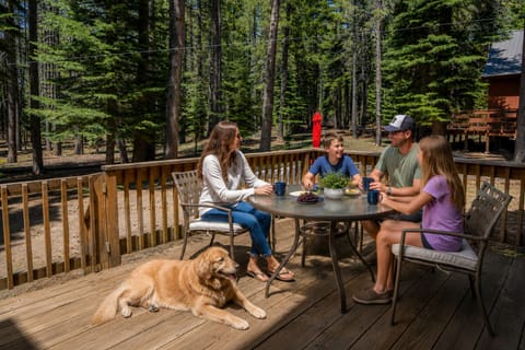 Gather with loved ones on a spacious deck surrounded by towering pines. Your four-legged friend is welcome here, making every meal feel like home in the great outdoors.