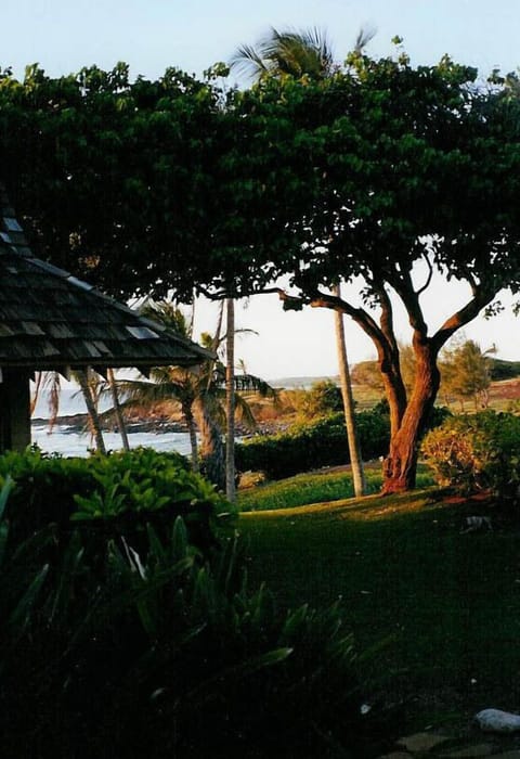 View immediately outside Cottage 1A