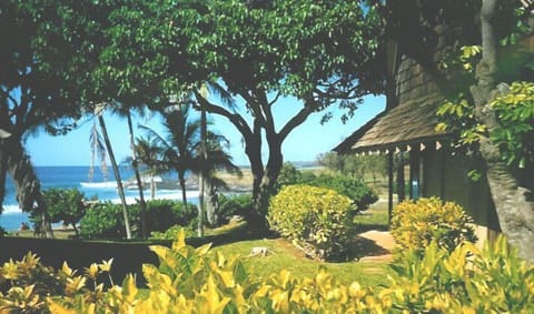 Tropical foilage and trees surround the property.