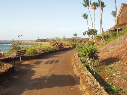 Path that leads along Kepuhi Bay