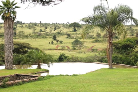 Property grounds