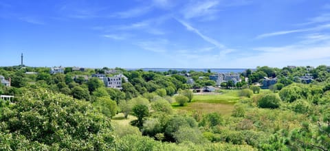 Summertime view from the roofdeck