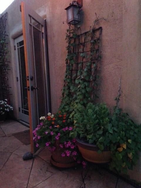 French doors off Study open to outdoor dining patio with Kiva fireplace