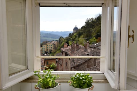 View from the kitchen