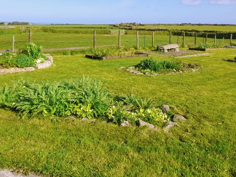 Garden | Ash Tree Cottage, Four Lanes, near Camborne