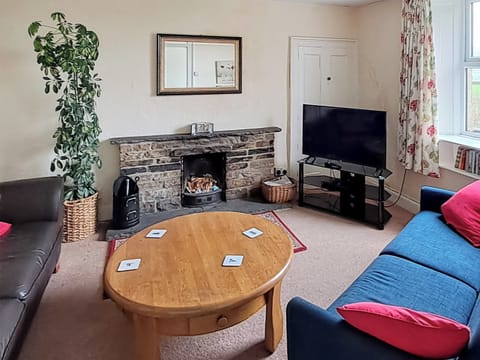 Cosy lounge with open fire | Lilac Cottage, Sedbusk, near Hawes