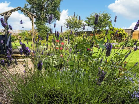 Garden | Capelrig Cottage, Balfron, near Drymen Loch Lomond & The Trossachs