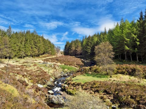 Galloway Forest Park
