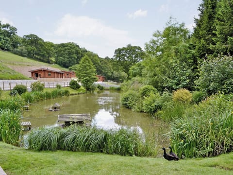 View | Kingsford Farm Cottages - Cherrytree Cottage, Longdown, nr. Exeter
