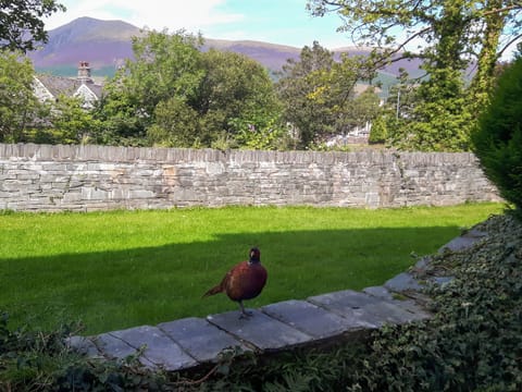 Lovely views to Skiddaw and beyond | 2 Greta Grove House - Greta Grove Apartments, Keswick