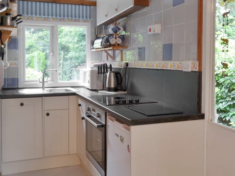 Well-equipped kitchen | Trewartha-By-Chy, Crackington Haven